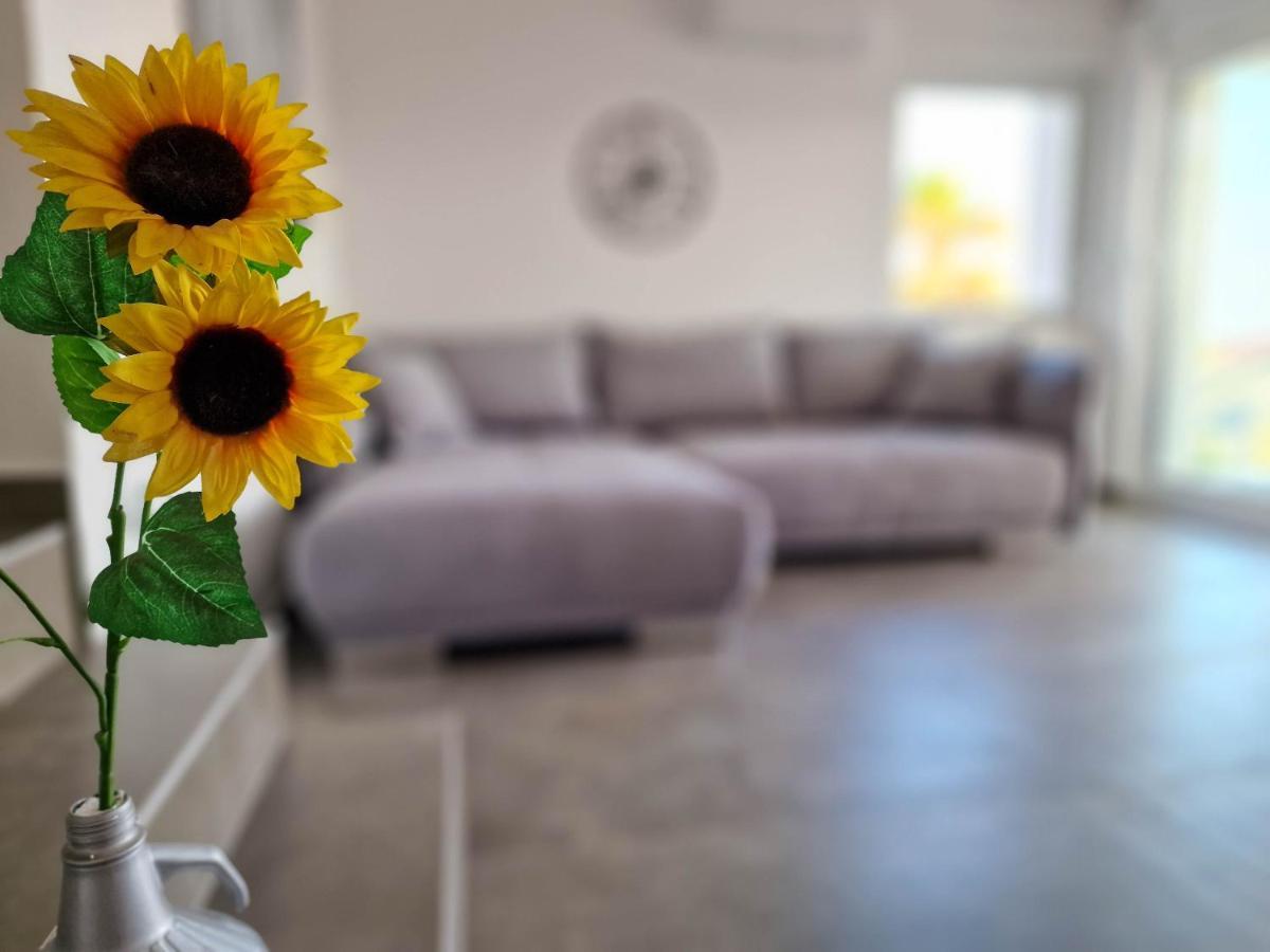 Villa Poseidon Novalja Zewnętrze zdjęcie